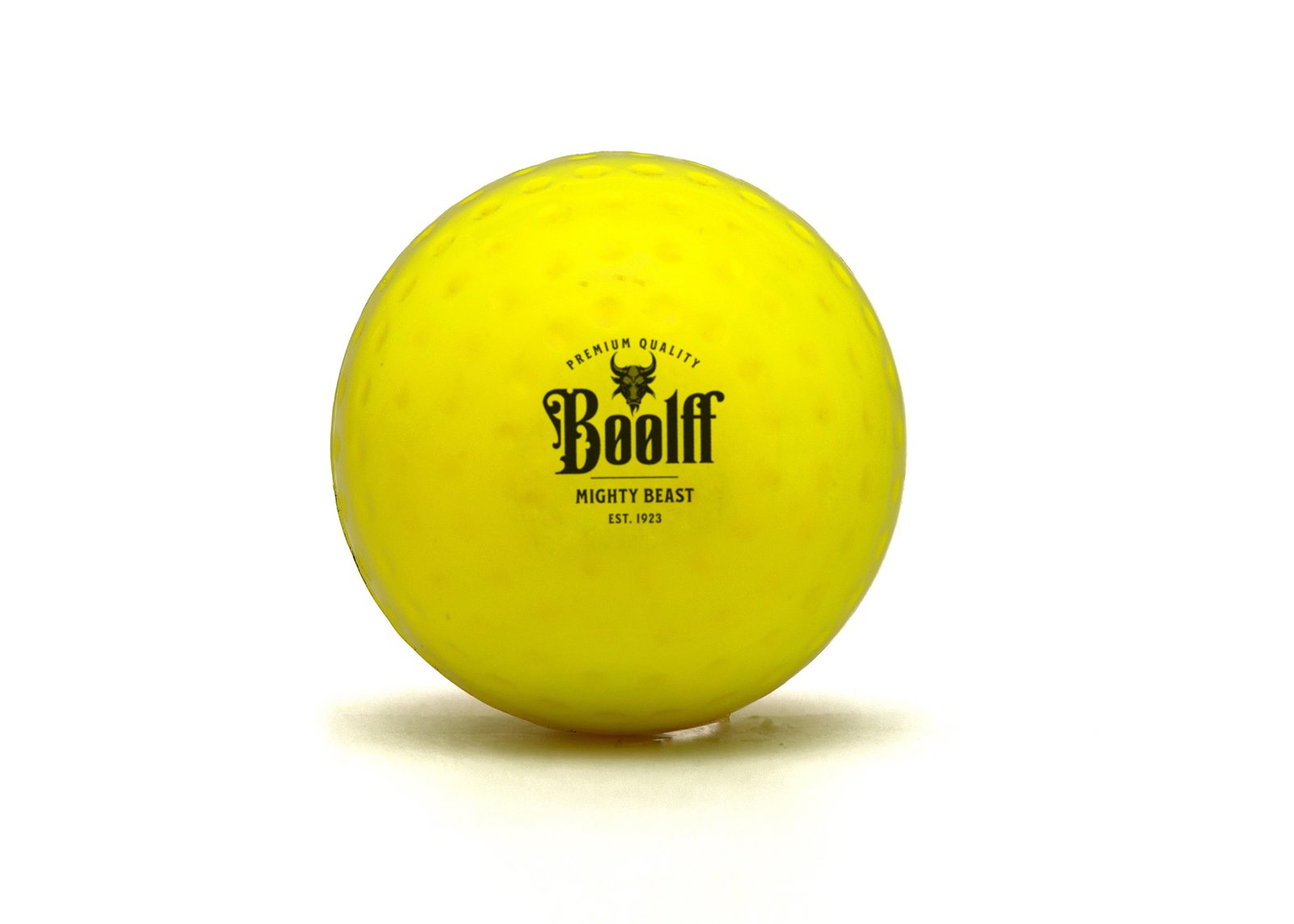 Indoor Ball